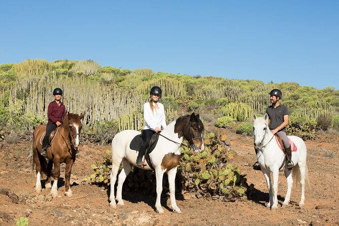 The Best Horse Riding Experience in Gran Canaria (2 hours) - Price and Value: What You Get for About $67.75