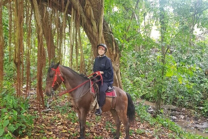 The Ultimate Dominican Horseback Riding Adventure - Key highlights at a glance