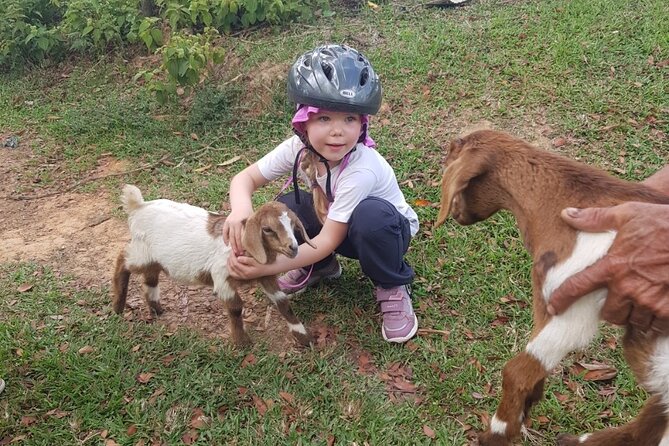 The Ultimate Dominican Horseback Riding Adventure - Punta Cana ranch riding for $79: where the value comes from