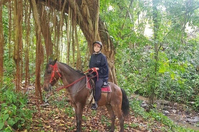 The Ultimate Dominican Horseback Riding Adventure - Morning vs afternoon at 8:00 AM or 2:00 PM: when the heat is the real enemy