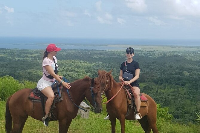 The Ultimate Dominican Horseback Riding Adventure - The 2.5-hour ride: instruction, cattle work, creek-and-forest terrain, and a mountain top