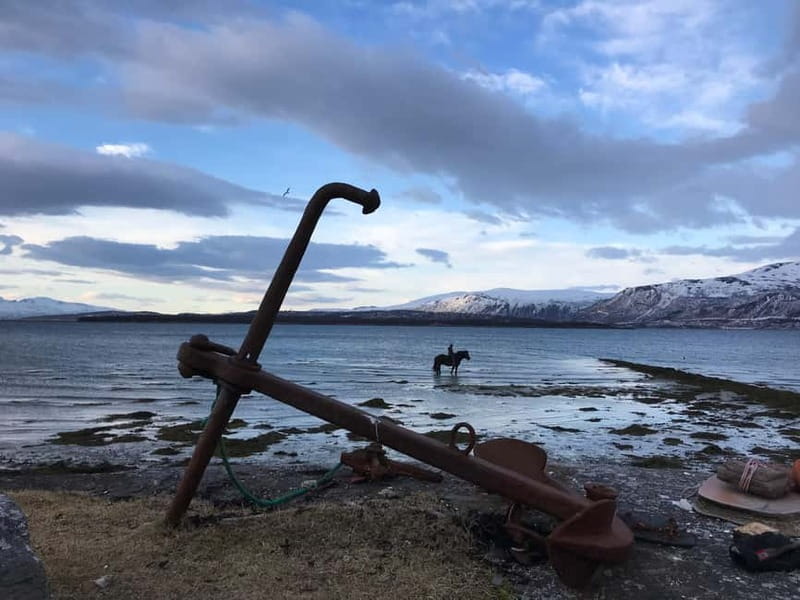 Tromsø: Horseback Riding Tour - Key things I’d bank on before you go