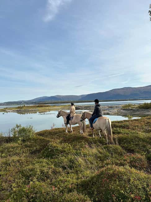 Tromsø: Horseback Riding Tour - Kvaløya Island in a Saddle: Why This Tromsø Ride Feels Truly Arctic