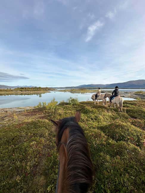Tromsø: Horseback Riding Tour - Straumsvegen 766a Meet-Up to the Ride: What the 150 Minutes Really Feels Like