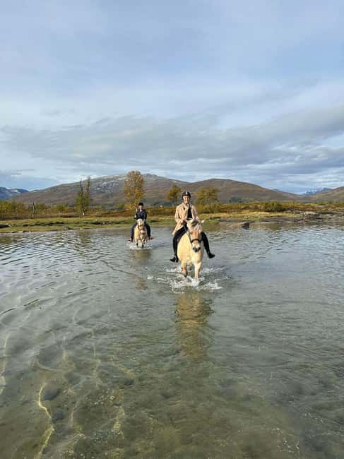 Tromsø: Horseback Riding Tour - What to Bring, and What the Tour Won’t Tolerate