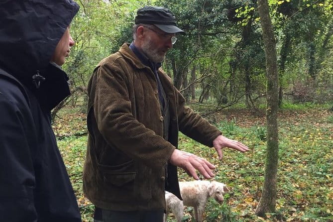 Truffle hunt, Lunch, Horse riding, a top half-day near Florence - Pickup, timing, and how the day flows (around 9:00am)