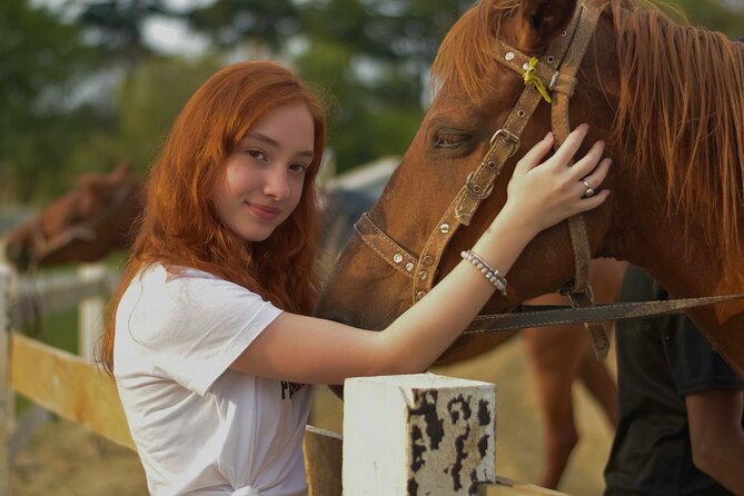 Tulum Jungle Horseback Ride + ATV + Ziplines + Cenote Combo Tour - Quick Key Points Before You Go