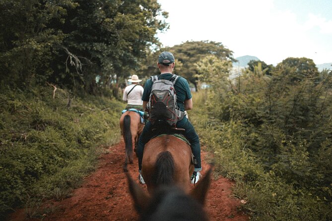 Tulum Jungle Horseback Ride + ATV + Ziplines + Cenote Combo Tour - Zip Lines and Wall Rappelling: When the Adrenaline Gets Real
