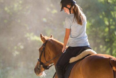 Tulum Jungle Horseback Ride + ATV + Ziplines + Cenote Combo Tour - Getting There: Meeting Points Matter More Than the Promise