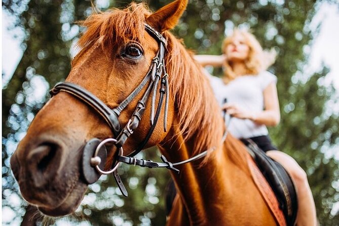 Tulum Jungle Horseback Ride + Cenote Dip & Traditional Lunch - Where You Meet in Tulum Centro (and Why That Helps)