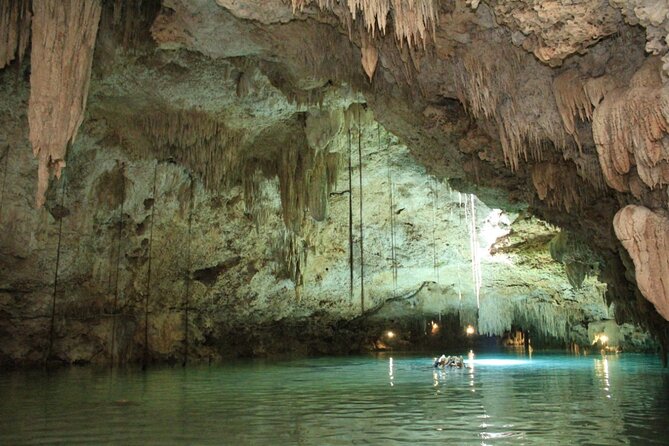 Tulum Jungle Horseback Ride + Cenote Dip & Traditional Lunch - Who This Tour Suits Best (and Who Should Skip It)
