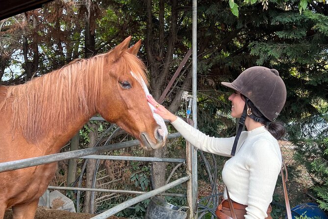 Tuscan Chianti Hills Horseback Riding Tour - Key Things to Know Before You Saddle Up