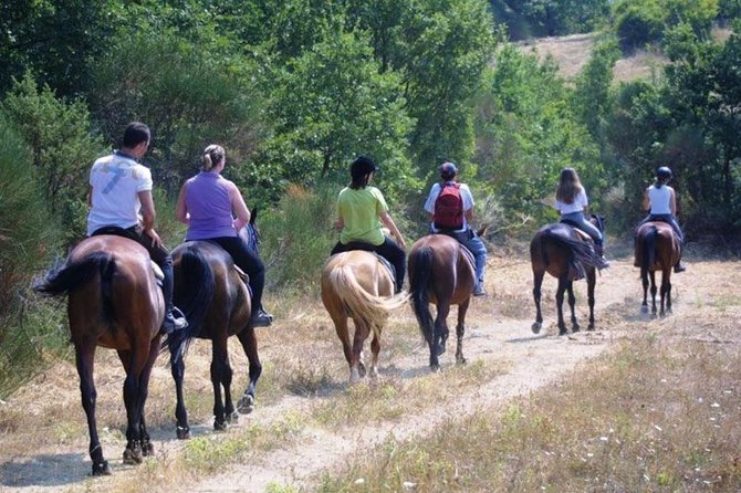 Tuscan Chianti Hills Horseback Riding Tour - From Siena to the Stables: what the day’s start really feels like