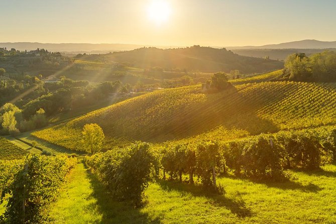 Tuscan Chianti Hills Horseback Riding Tour - Safety and Horse Matching: calm horses, real instructions, and where it can go wrong