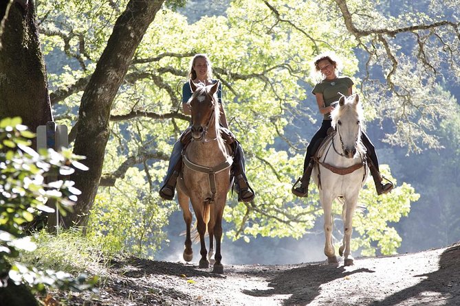 Tuscan Chianti Hills Horseback Riding Tour - What the 90 minutes includes: riding time, grooming, and the return to Siena