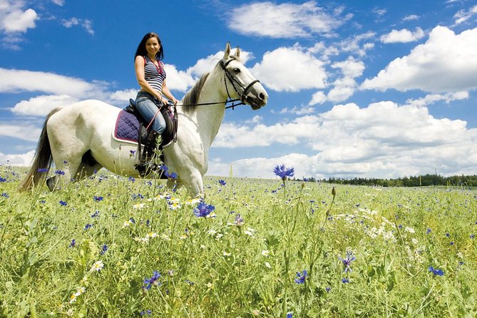 Tuscan Chianti Hills Horseback Riding Tour - Price Value: what $90.11 buys you in the Chianti hills