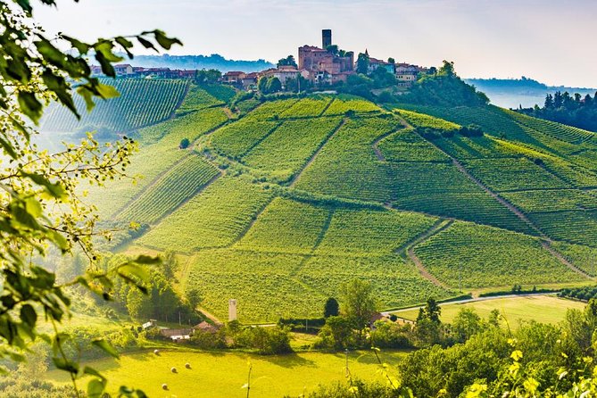Tuscan Chianti Hills Horseback Riding Tour - Who this tour fits best (and who should look elsewhere)