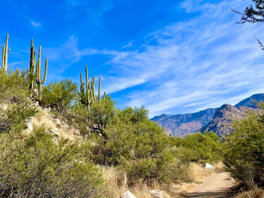 Tuscon: Rancho Cerros Horseback Riding Tout with Great Views - Should You Book Rancho de Los Cerros for Tucson Horseback Riding?