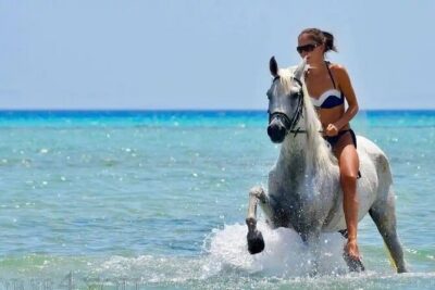 Two hours adventure Horse Riding with Transfer From Hurghada - Price and Logistics: What $14.53 Really Means