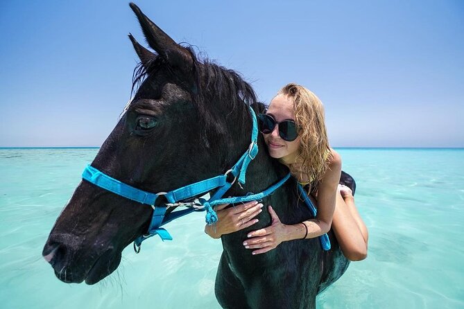 Two hours adventure Horse Riding with Transfer From Hurghada - Small Group Size: Max 15 Travelers