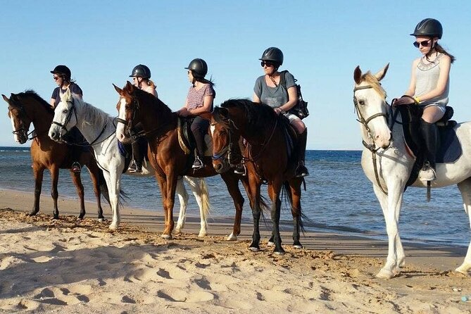 Two hours adventure Horse Riding with Transfer From Hurghada - Who This Horse Ride Is Best For