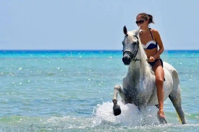 Two hours adventure Horse Riding with Transfer From Hurghada - Price and Logistics: What $14.53 Really Means
