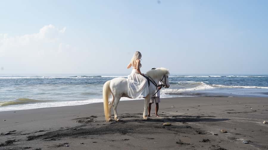 Ubud: 1 Hour Beach Horse Riding with Transfer - Back at the Stables: A Short Moment to Connect