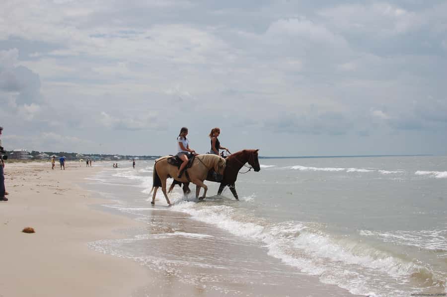 Ubud: Horse Riding, Zip-Line Tour & Waterfall Tour - Jungle canopy zip-line: safe gear, first-timer friendly, watch the height