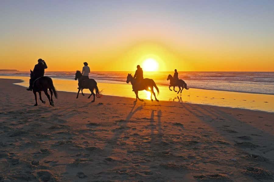 Ubud: Horse Riding, Zip-Line Tour & Waterfall Tour - Value check: is $44 per person a good deal?