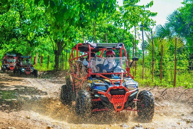 Ultimate Dune Buggy and ATV Adventure with Cenote, Beach & Ranch - Key things to know before you go