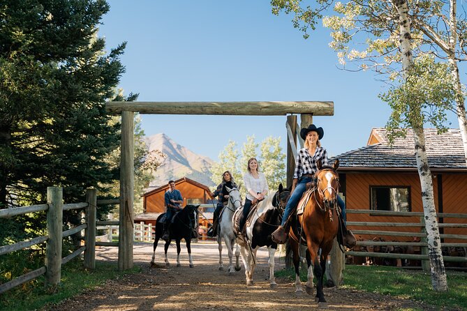 Valley Vista 1.5 Hour Horseback Trail Ride in Kananaskis - Key Points to Know Before You Go