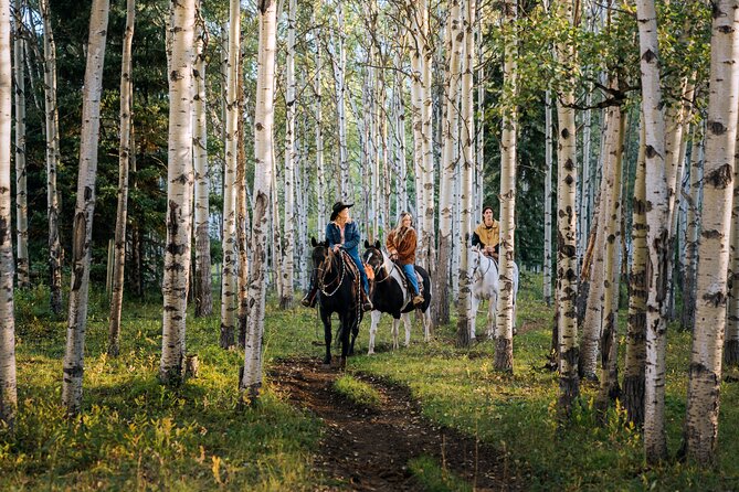 Valley Vista 1.5 Hour Horseback Trail Ride in Kananaskis - Valley Vista at Boundary Ranch: What Makes This Ride Special