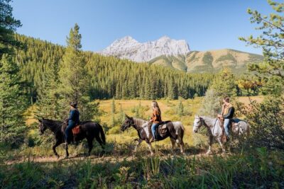 Valley Vista 1.5 Hour Horseback Trail Ride in Kananaskis - Who This Ride Suits Best (And Who Might Want Another Option)