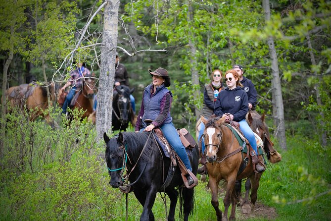 Valley Vista 1.5 Hour Horseback Trail Ride in Kananaskis - Seasons, Weather, and What to Do If Plans Change