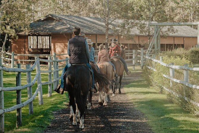 Valley Vista 1.5 Hour Horseback Trail Ride in Kananaskis - Practical Tips: Making the Ride Feel Easy From Minute One