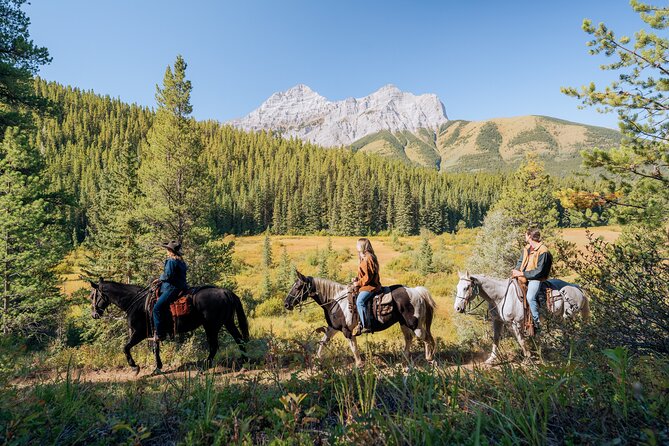 Valley Vista 1.5 Hour Horseback Trail Ride in Kananaskis - Who This Ride Suits Best (And Who Might Want Another Option)