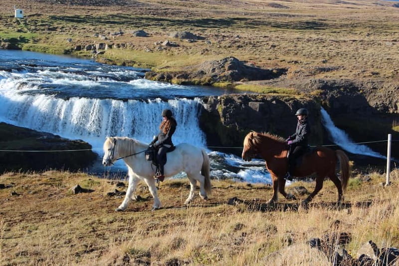 Varmahlid: Viking Horse Riding Tour - Getting Set Up at Hestasport Reception in Varmahlíð