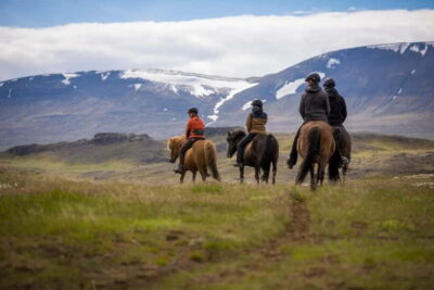 Varmahlid: Viking Horse Riding Tour - The Trail: Svartá River, Hillside Tracks, and Fjord Views