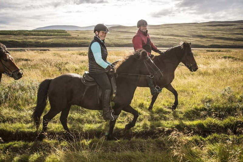 Varmahlid: Viking Horse Riding Tour - Price and Value: What You Pay for at $111