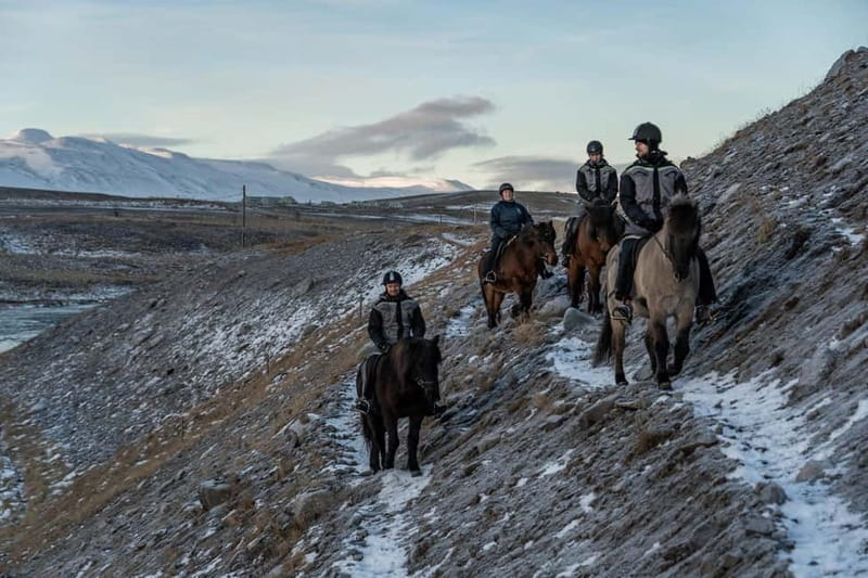 Varmahlid: Viking Horse Riding Tour - Who Should Book This Horse Ride (and Who Might Skip It)