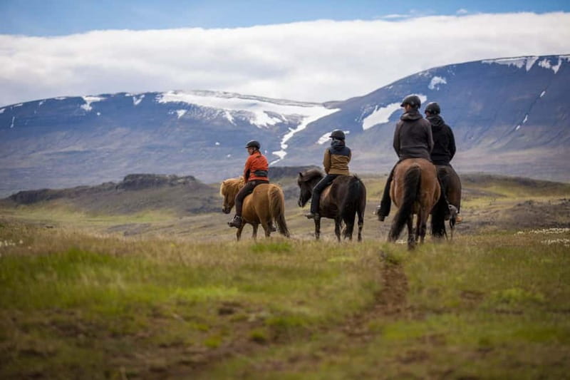 Varmahlid: Viking Horse Riding Tour - The Trail: Svartá River, Hillside Tracks, and Fjord Views