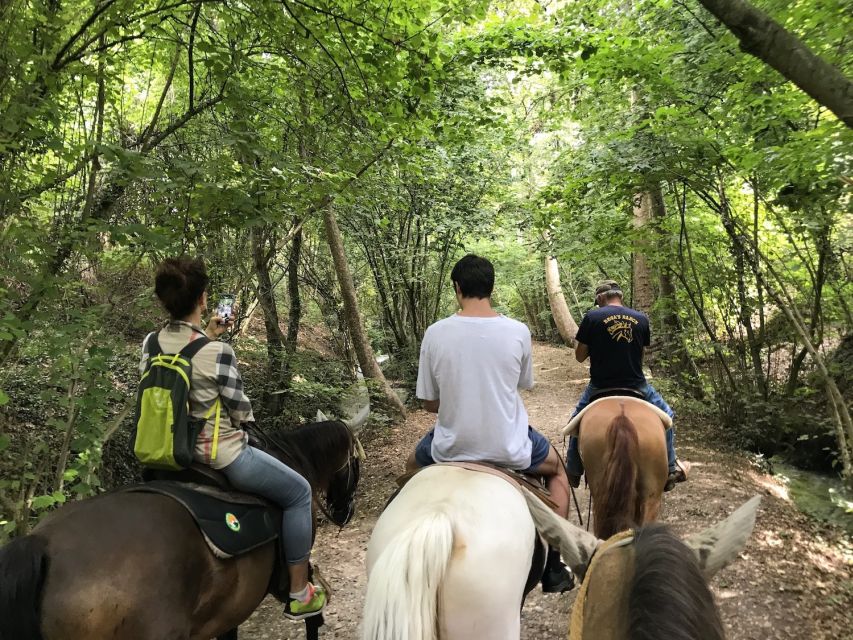 Verona: Horseback Riding and Wine Tasting Experience - Key Things I’d Focus On Before You Go