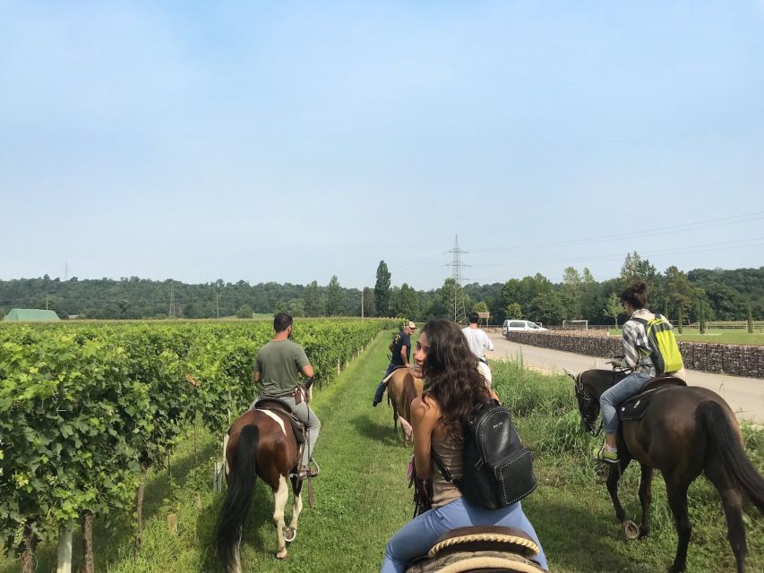 Verona: Horseback Riding and Wine Tasting Experience - Getting Matched With Your Trail Horse in Verona