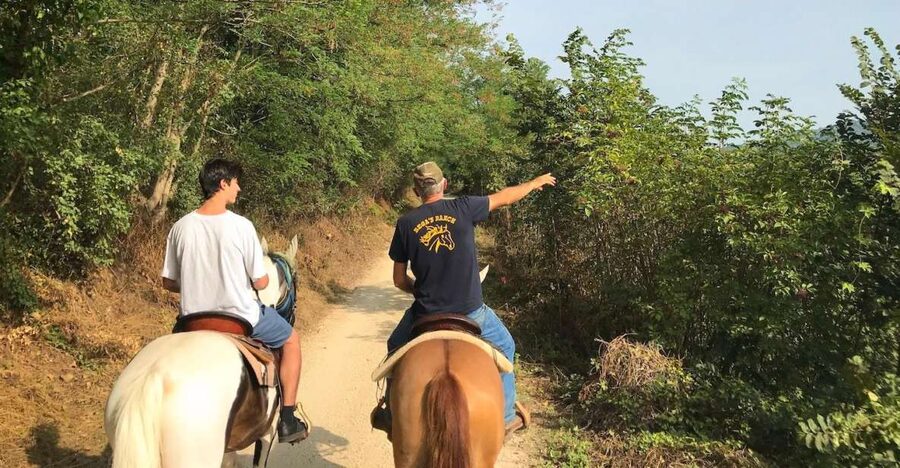Verona: Horseback Riding and Wine Tasting Experience - Stop at a Family-Run Winery: Cellar Smells and Winemaking Talk