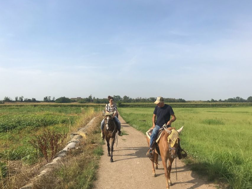 Verona: Horseback Riding and Wine Tasting Experience - The Flow of the Day: Two Horse Riding Blocks, One Winery Block