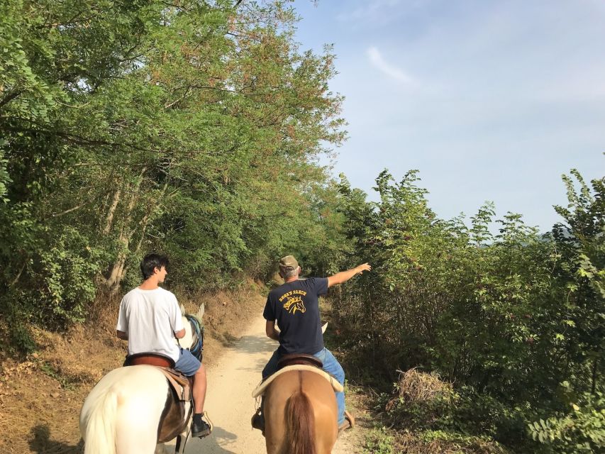 Verona: Horseback Riding and Wine Tasting Experience - Who This Verona Tour Fits Best
