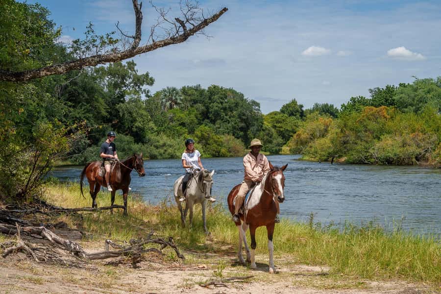 Victoria Falls National Park: Horseback Safari - Key Highlights You’ll Actually Feel