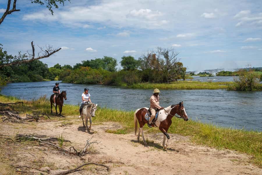 Victoria Falls National Park: Horseback Safari - Big Game on Horseback: What Elephant and Buffalo Change