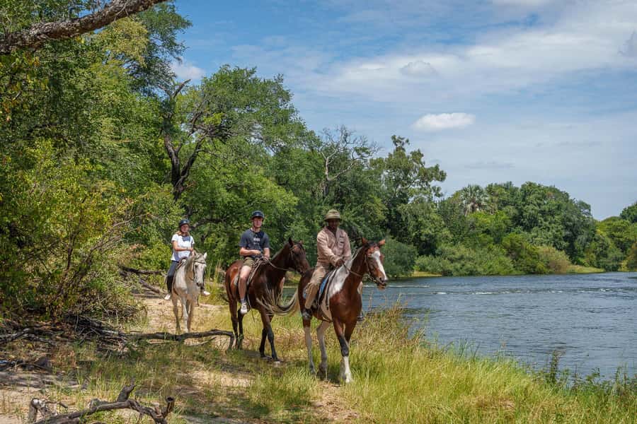 Victoria Falls National Park: Horseback Safari - Who This Safari Fits Best