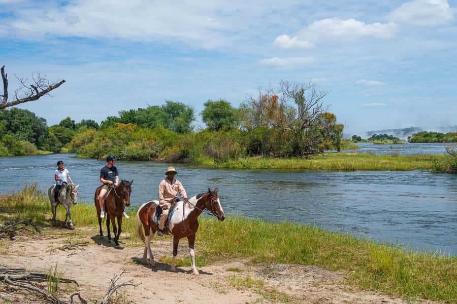 Victoria Falls National Park: Horseback Safari - What the Recent 5-Star Feedback Suggests